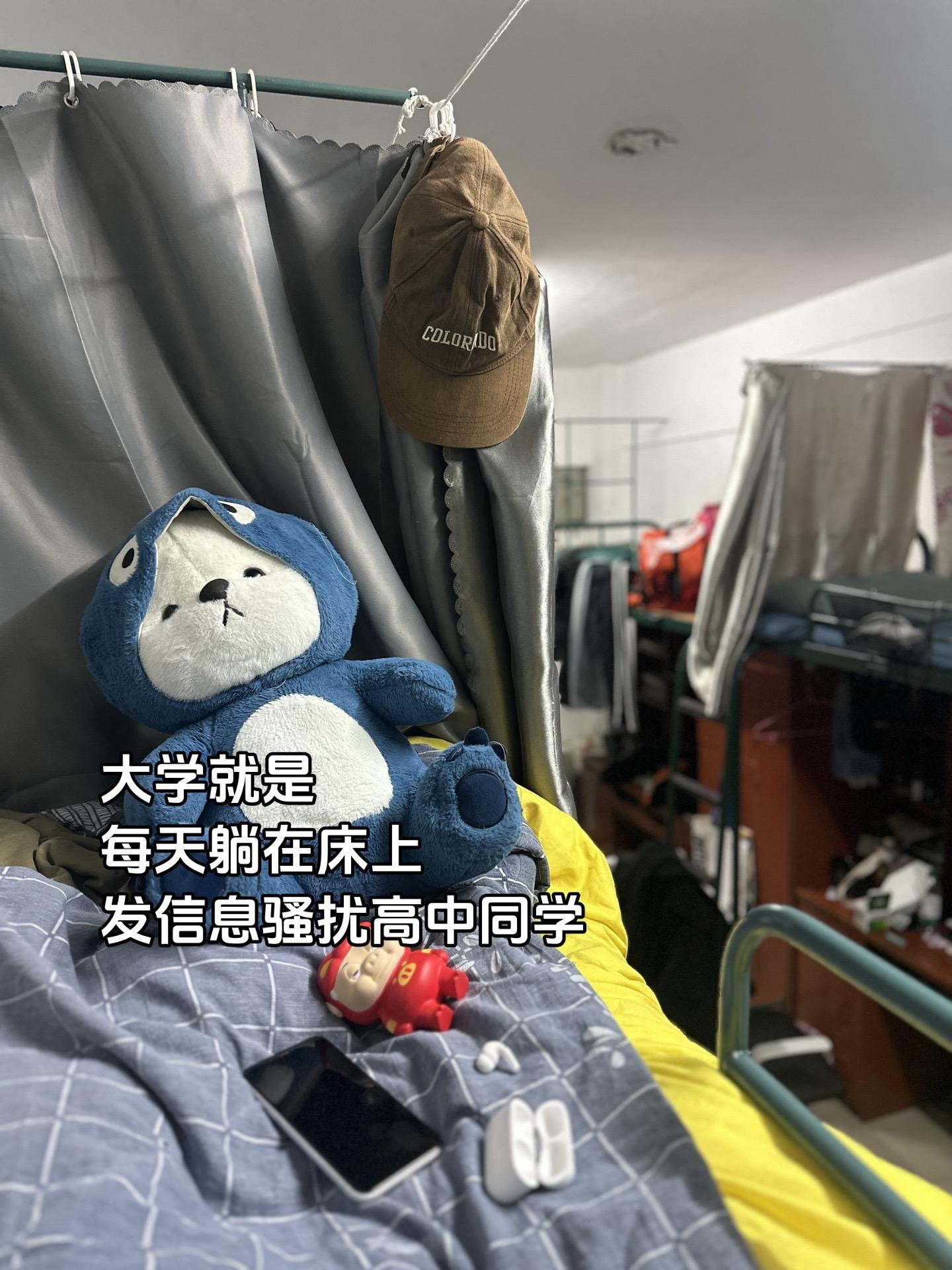大学就是每天躺在床上发信息骚扰高中同学高中