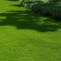 阳光信用[超话] 🌞每日一善🌞阳光信用应对失败和挫折，一笑而过是一种乐观自信