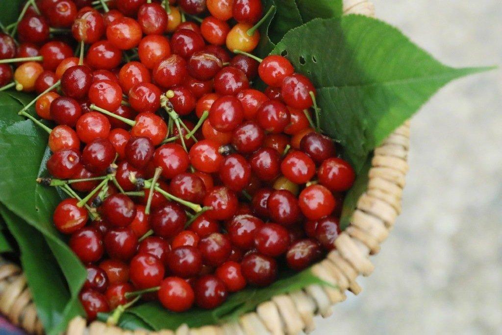 你要是不抽出时间来创造你想要的生活，你最终一定会花费大量的时间，来应付自己不想要