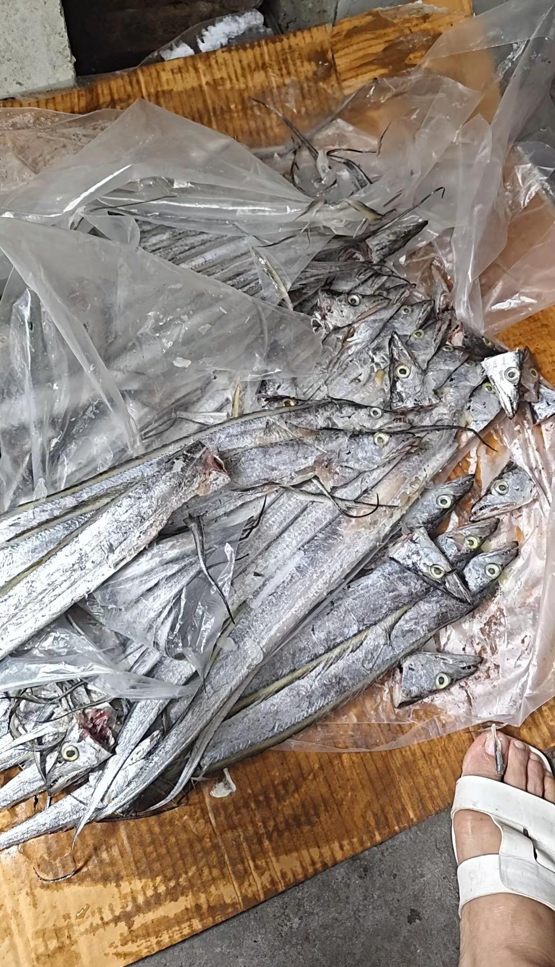 俗事抛脑后，深深浅浅已误半个人生路，每一个选择都是该有的结果，既然经历了也是给你