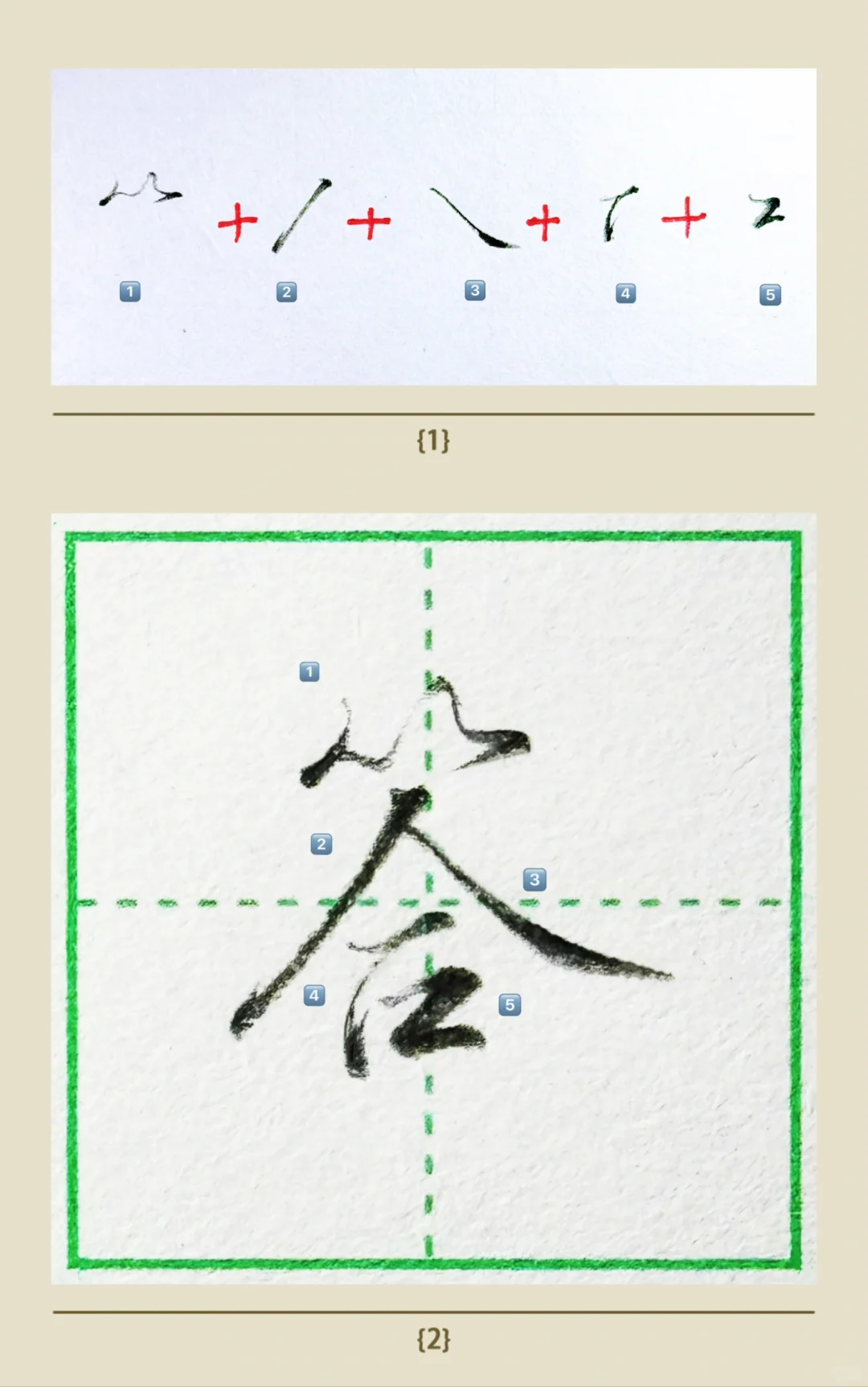 硬笔行楷｜“答”字详解‼️