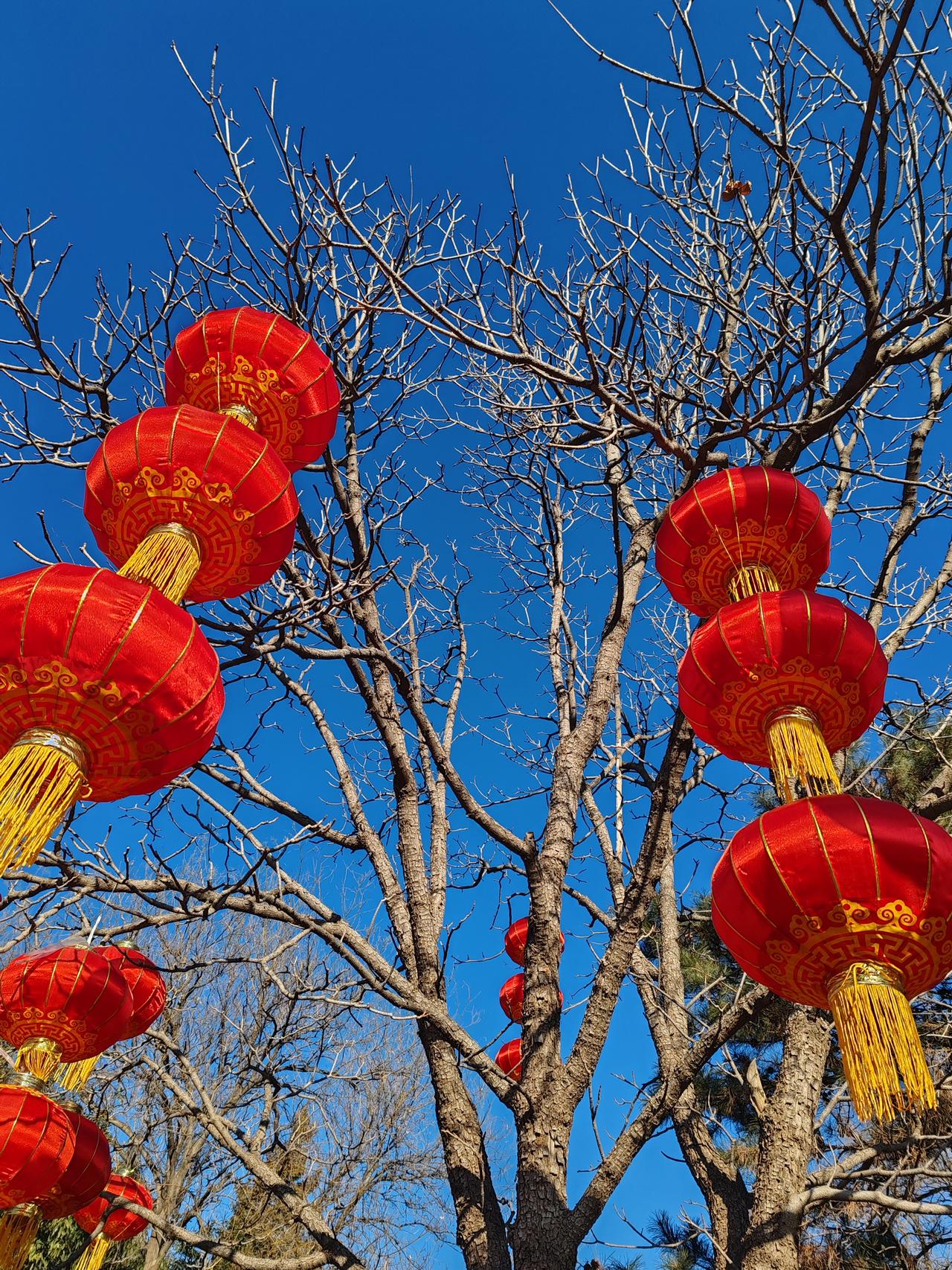 晒图笔记大赛大红灯笼髙高挂，红红火火迎新春。