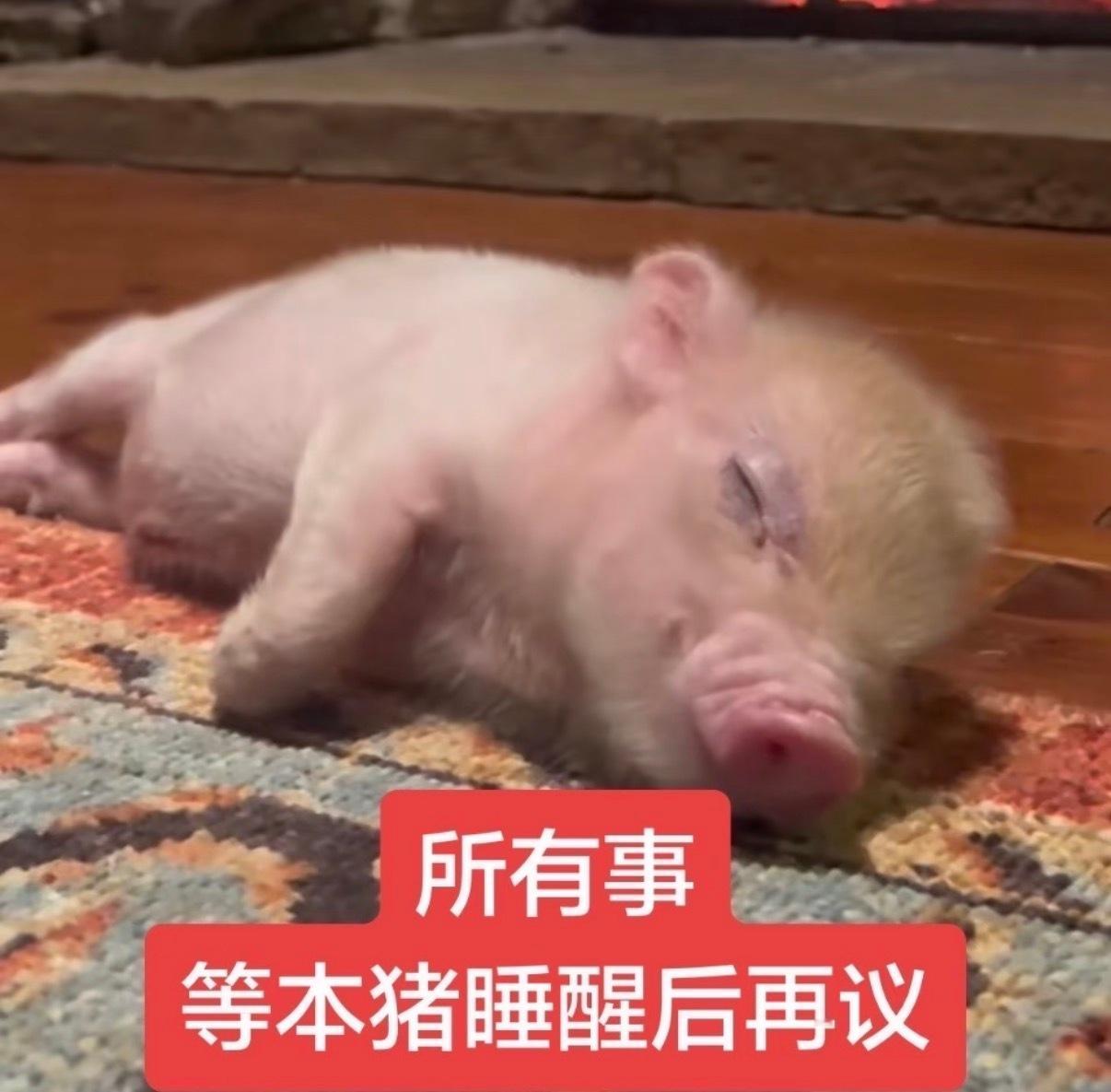 又浪费了一天 明天一定认真 