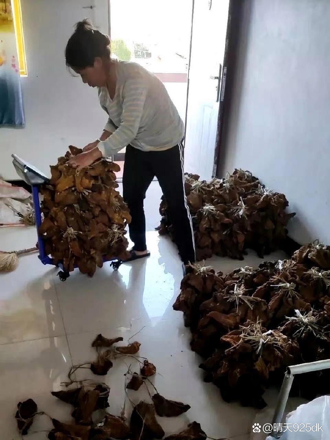 这才是真正的大户人家，太让人羡慕了。 