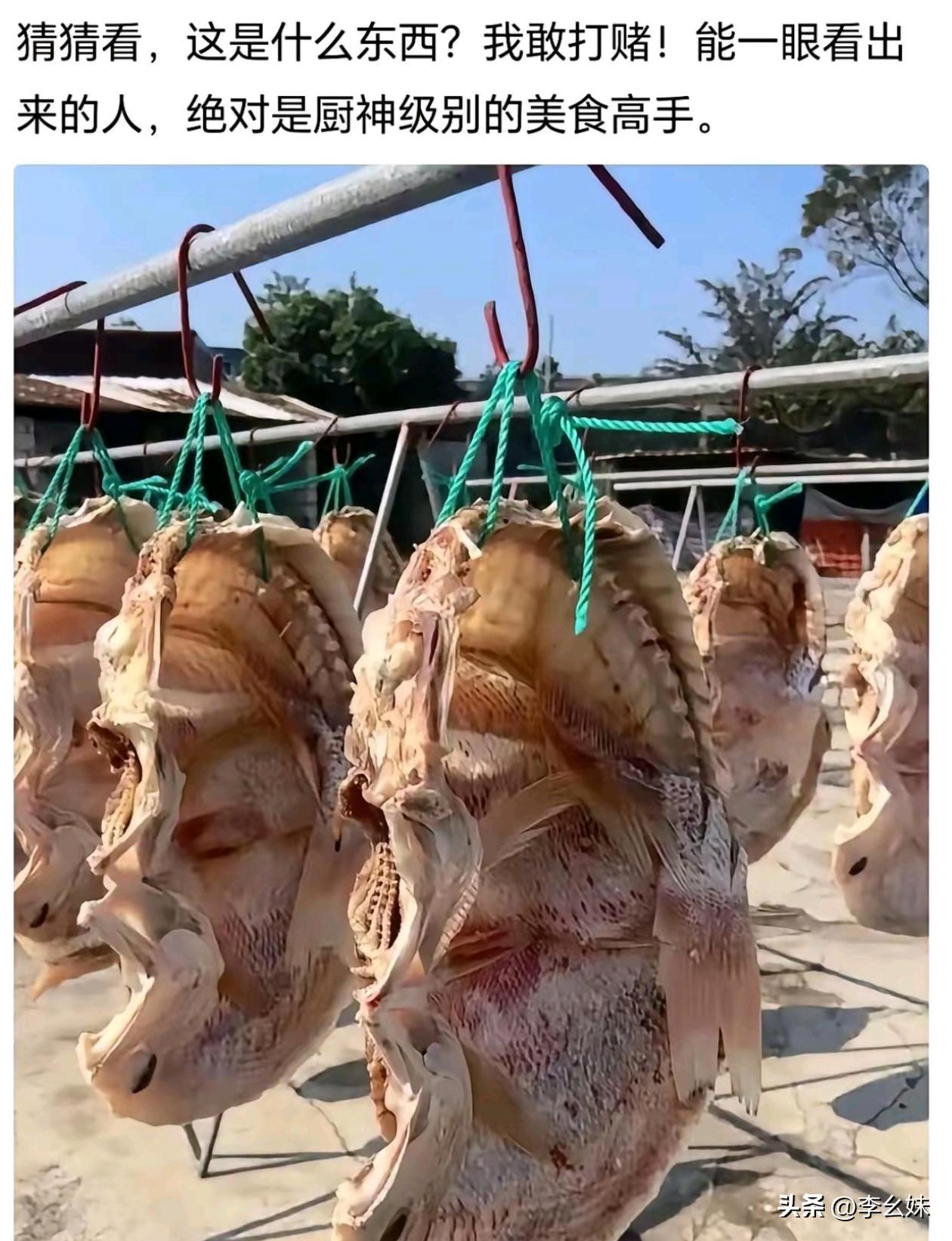 各位是一眼看出来的吗