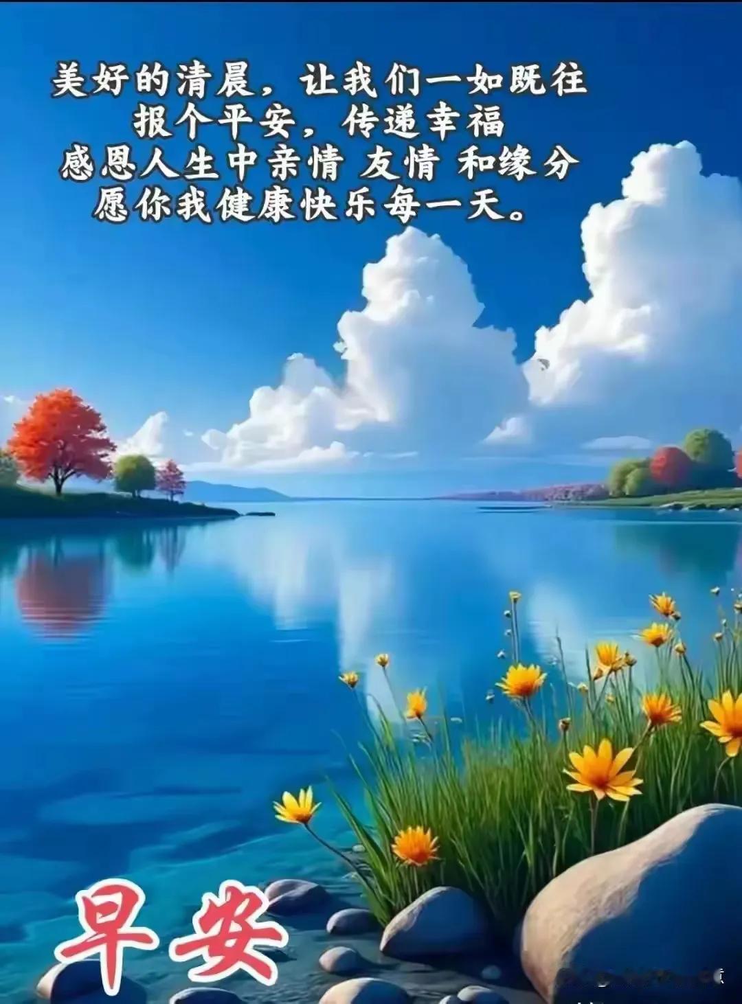 早安，愿每一天都如这般美好宁静。🌅🌳🌊