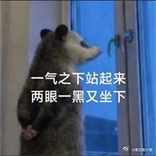 我今天错过了齐司礼的电话。 