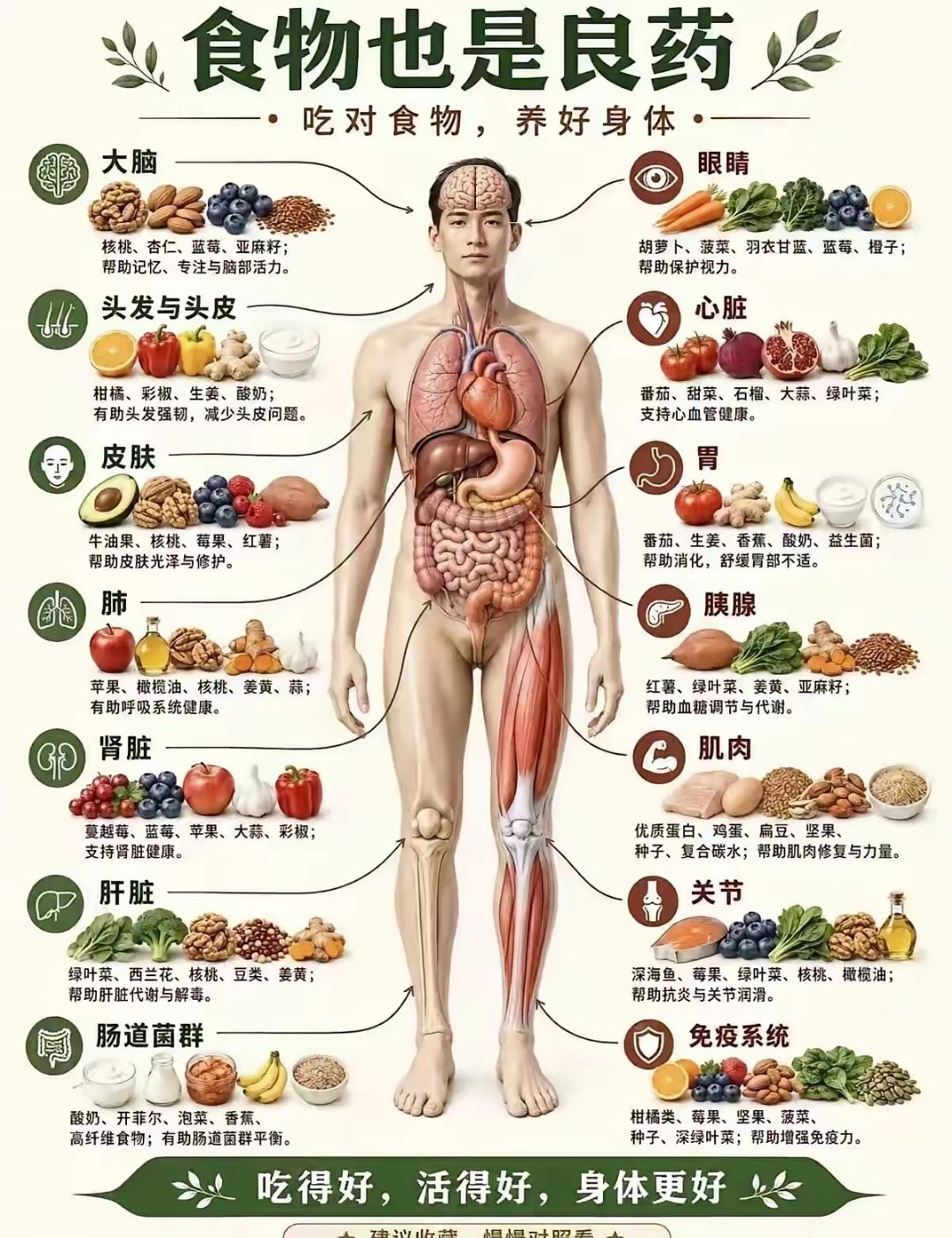 药食同源 ​​​