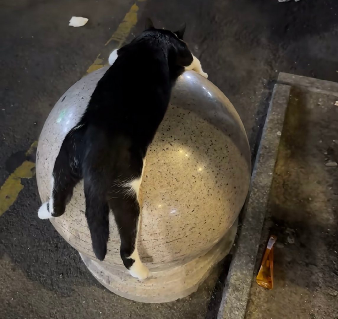 吕洞宾跳崖落地blk 