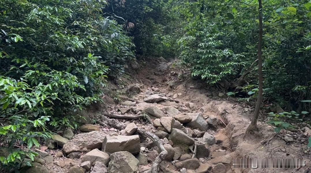 [锦鲤到来]在广州这个城市生活，要明白：
自己喜欢的东西，
就不要问别人好不好