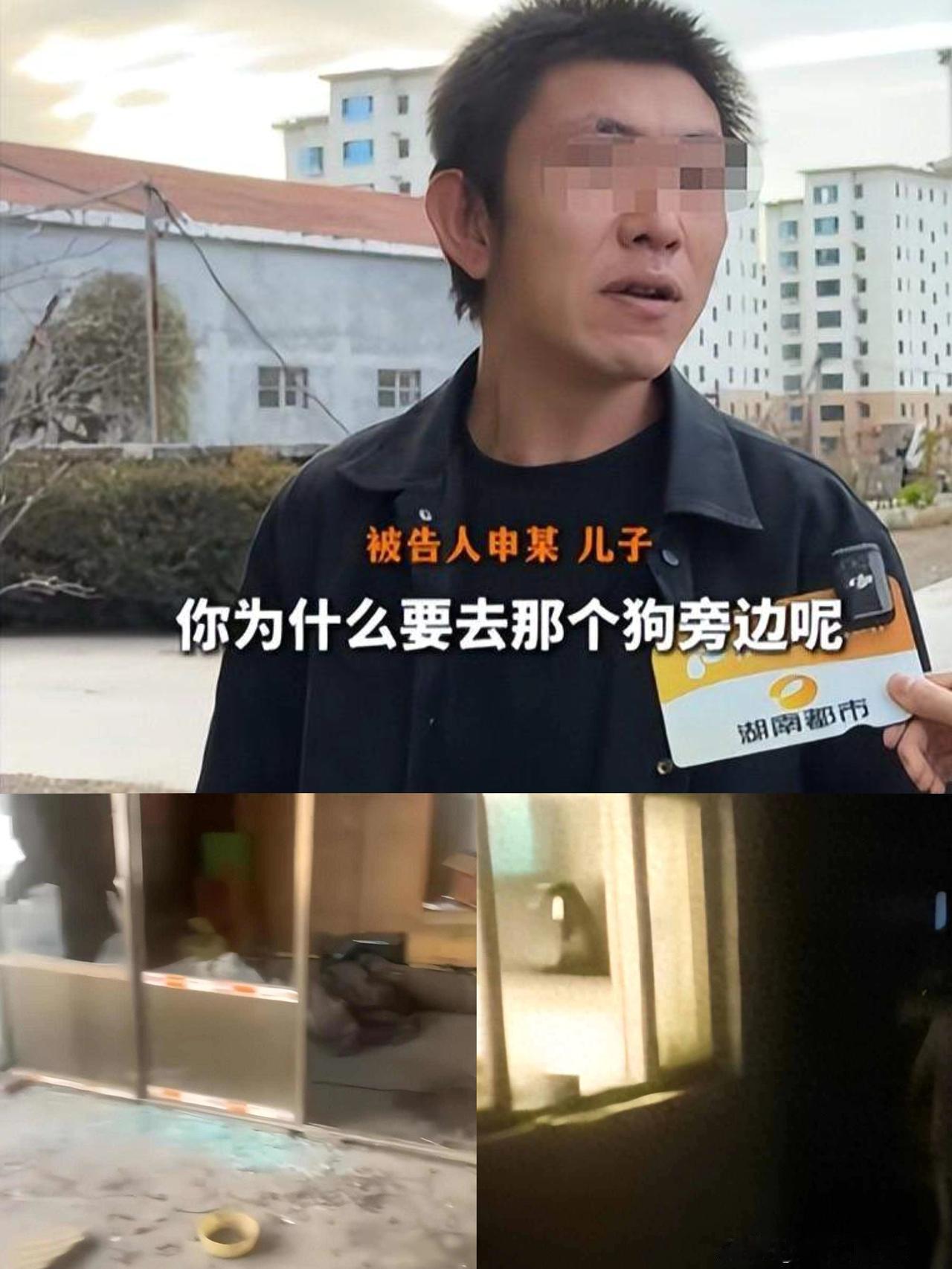 狗咬人新后续：
申家儿子不在原因流出，
原告曾对警方说打完架再谈！

说实话，