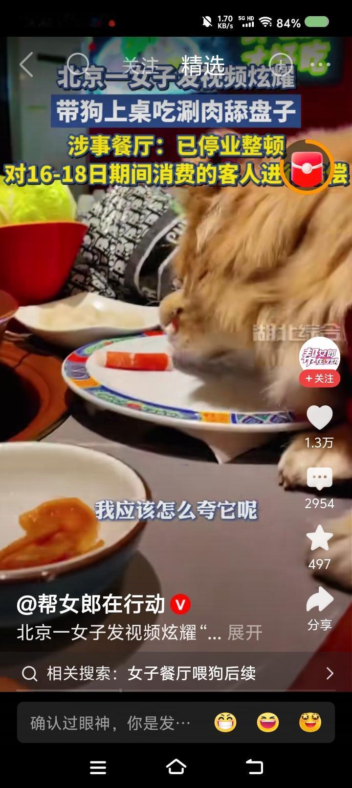 带狗“上”饭店的桌子吃饭？——
据报道，一女子去饭店吃饭，带狗进去的。狗上了饭桌