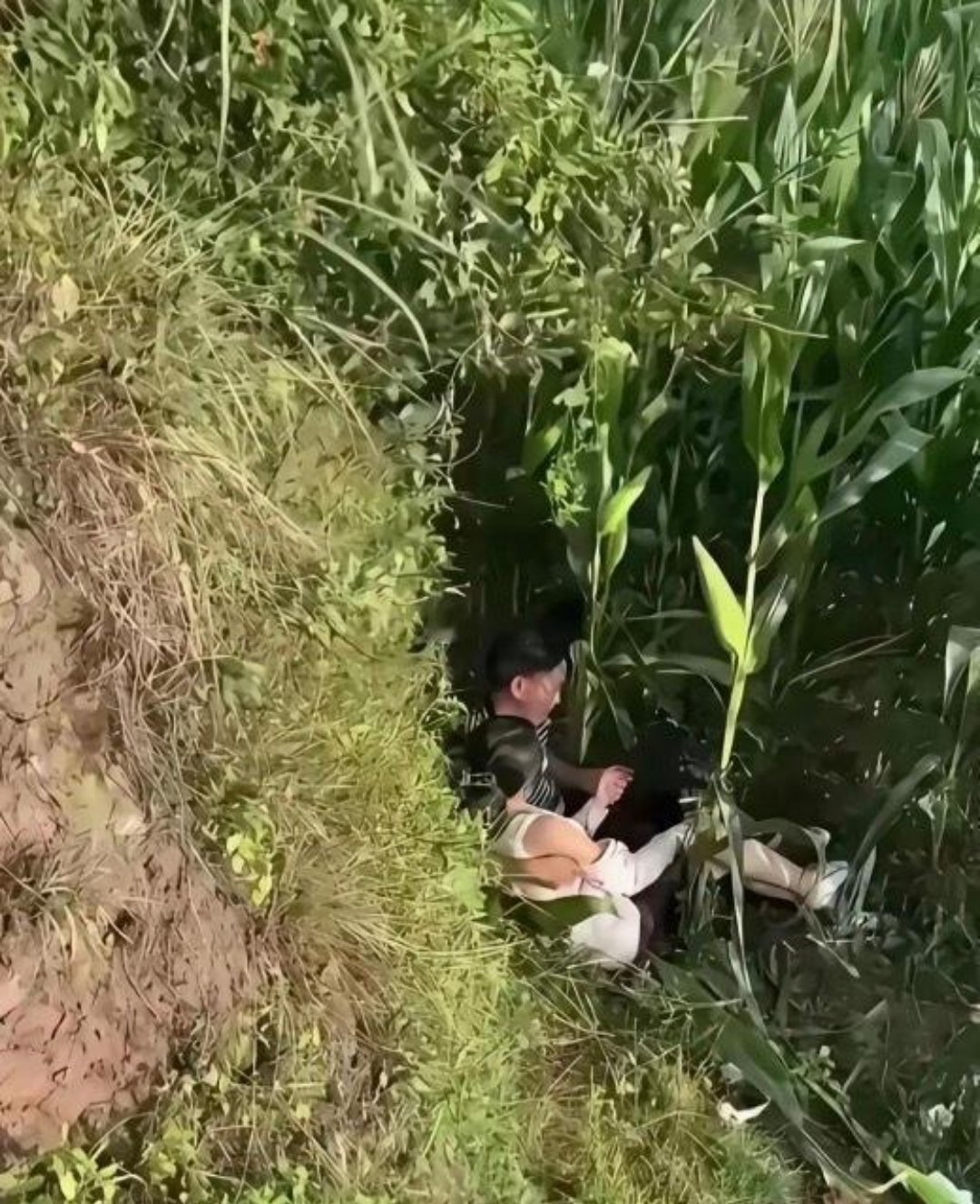 真会挑地方，吓人一跳！ 
