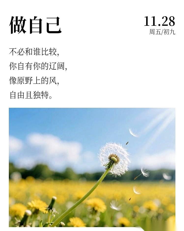 手机一亮，又是那种带莲花儿的“早安”问候，说“缘分如金”。
我盯着那四个字看了半