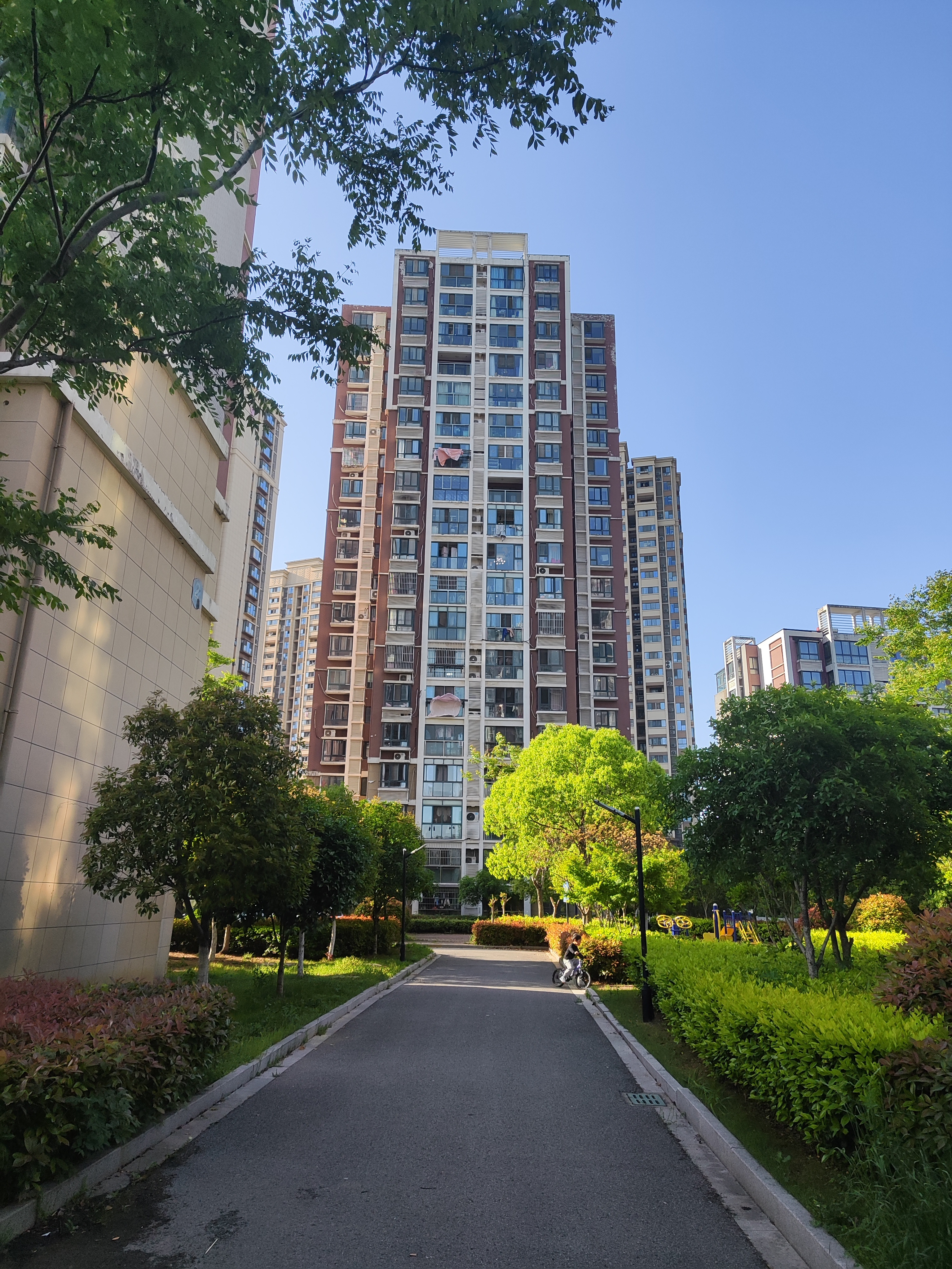 小风一吹，一时分不清是春末还是秋初