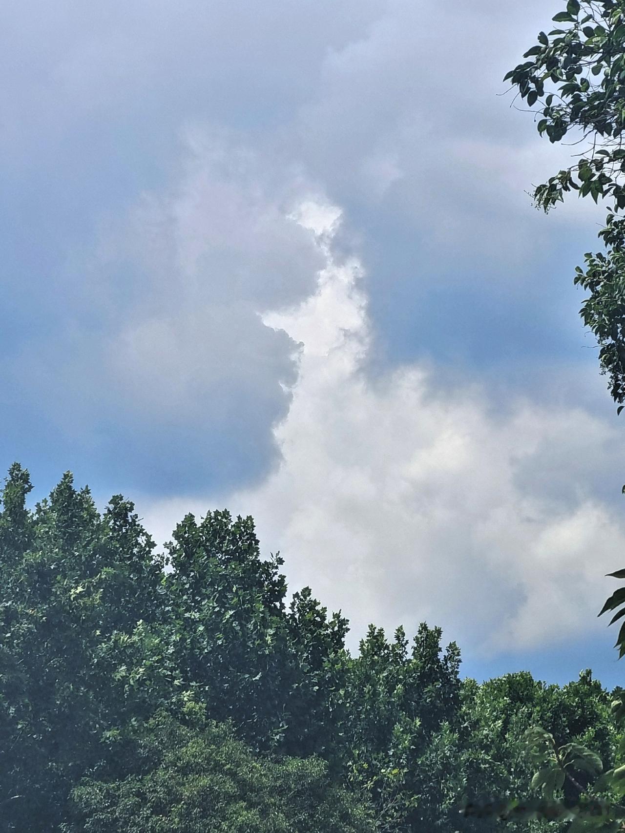 头条美女也很多
中老年把美女说
老头老太占大半
美女帅哥也好看
部分都是孩爸妈