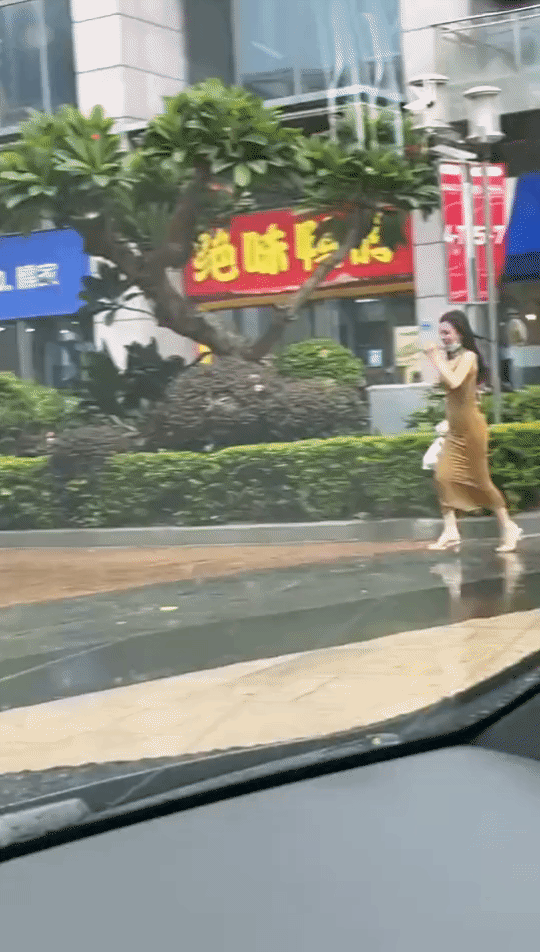 雨中的惊艳一幕[灵光一闪]