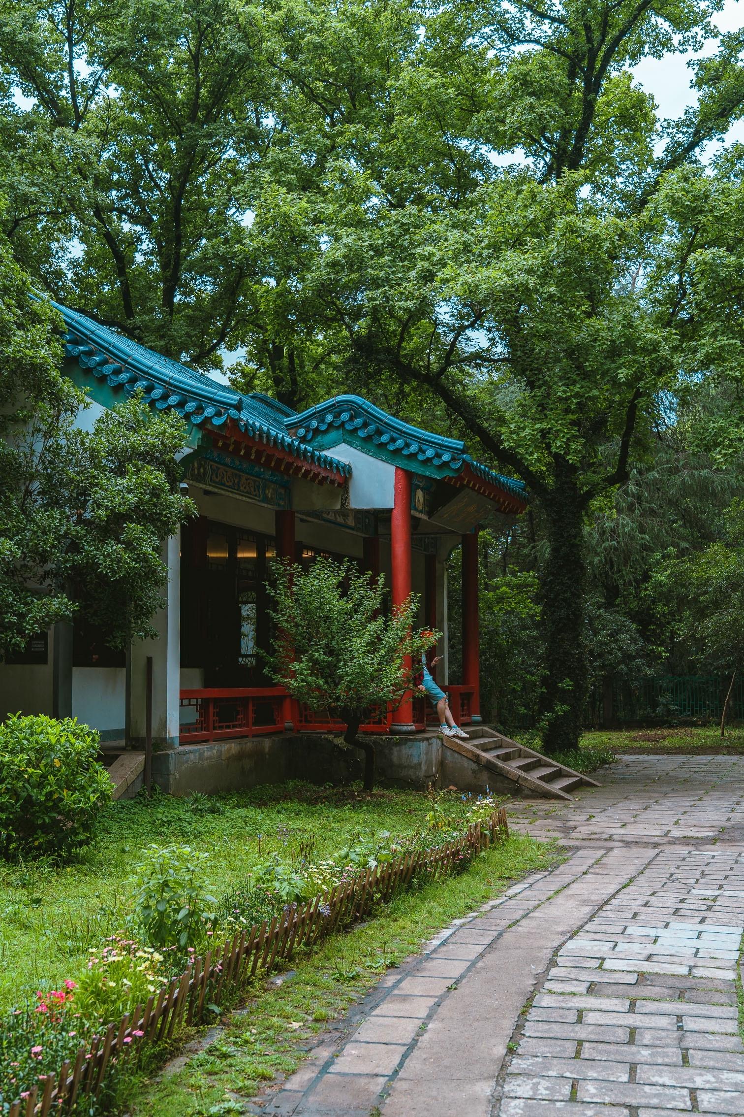 永丰诗社，梧桐大道上隐藏的小众书店。