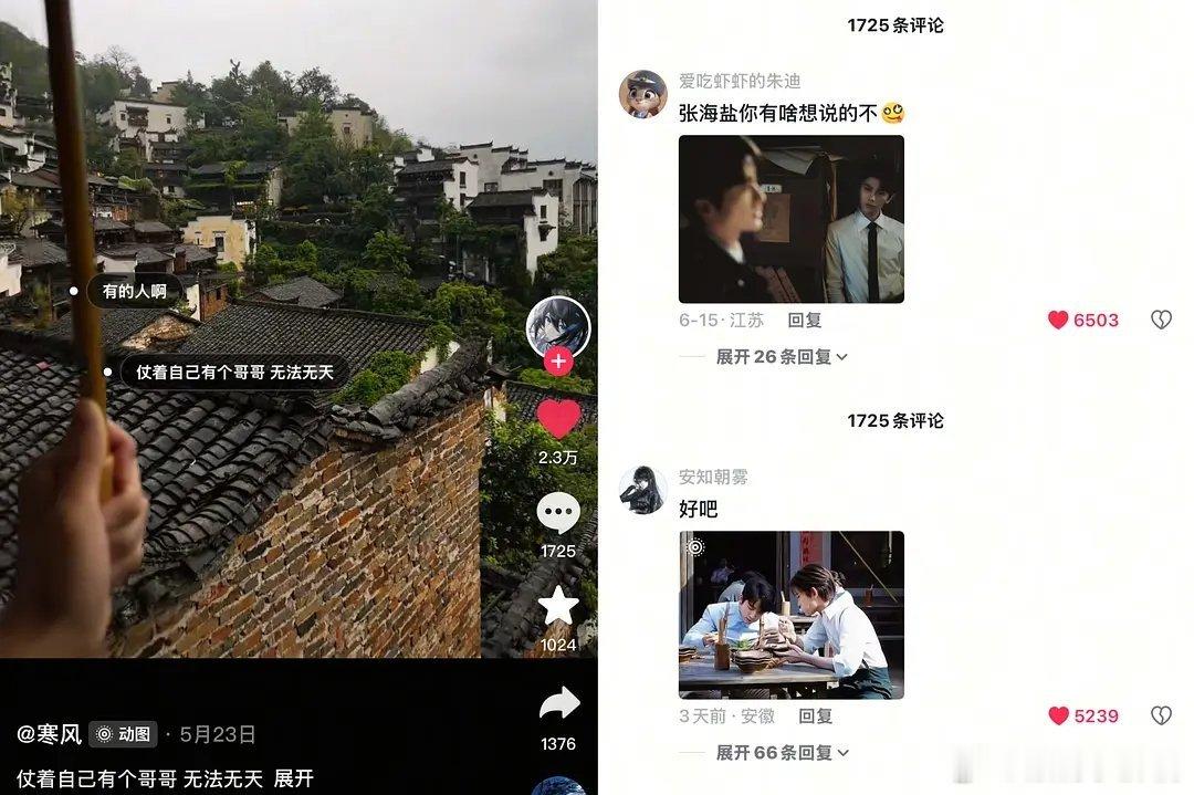 其实南部档案声量真的比我想象得高不少我判断就是没带任何影视相关的评论区，都有人能