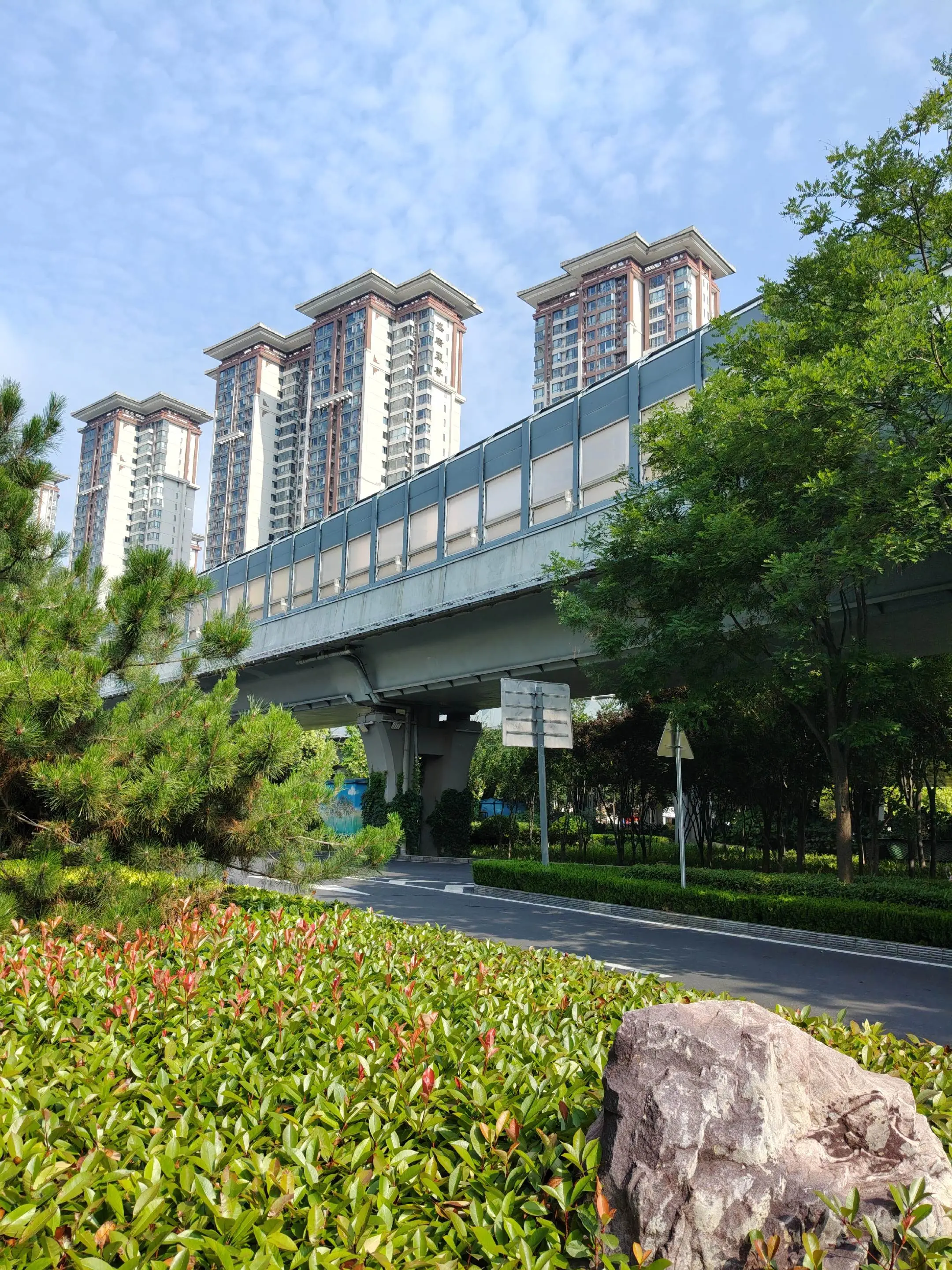洛阳新区的平常漂亮风景。      洛阳新区，洛阳的顶流！