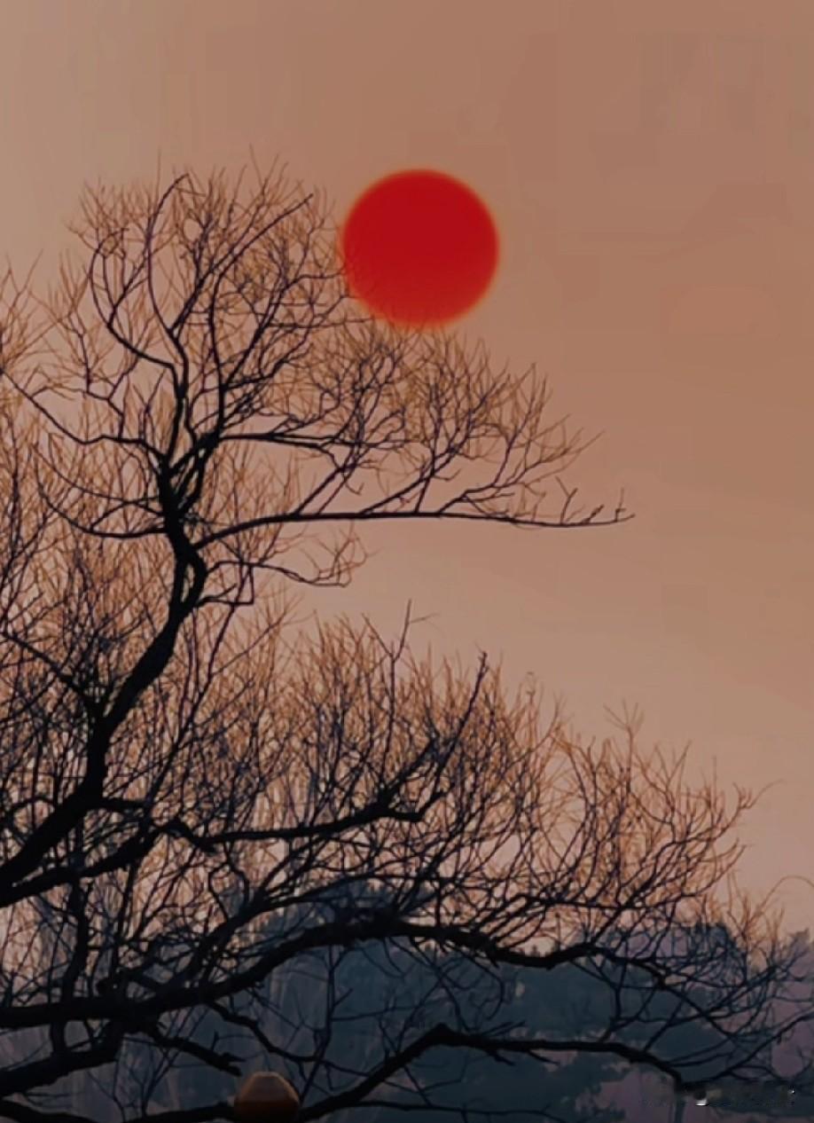 人这一生，从不是非黑即白的判定，也没有预设的完美与不堪。

那些以为的糟心，熬过