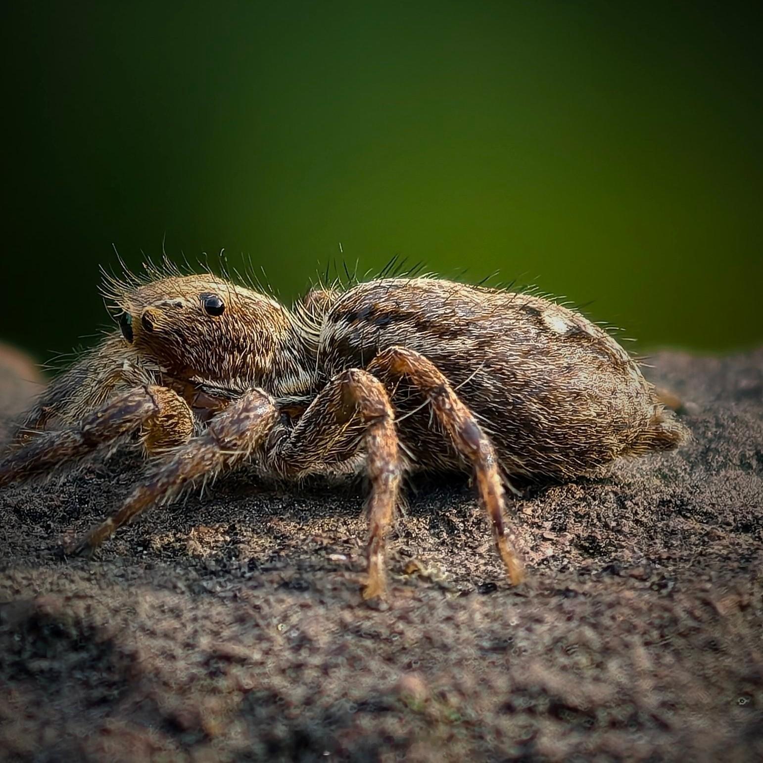 不懂就问，这样的照片真的好看吗？画成这样有意义吗？