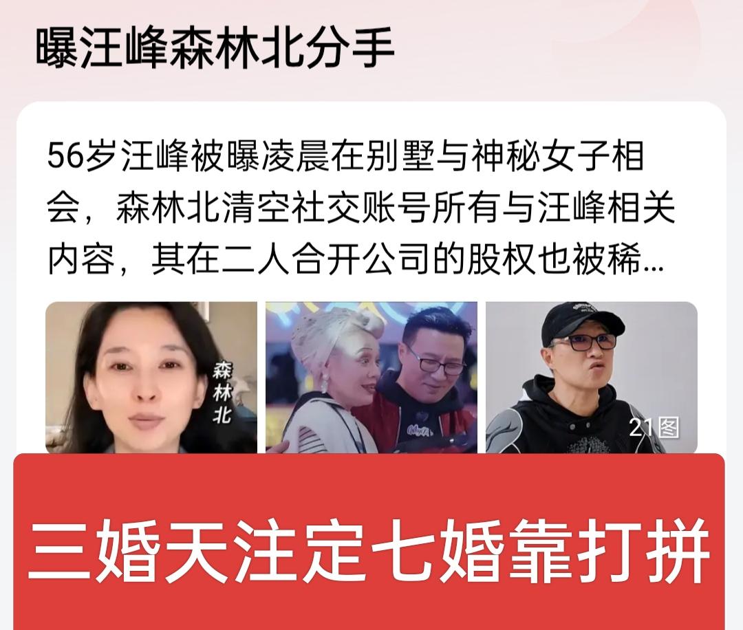 汪峰疑似又有新欢，被曝与森林林北分手，森林北已全部清空与汪峰相关的社交内容，但在