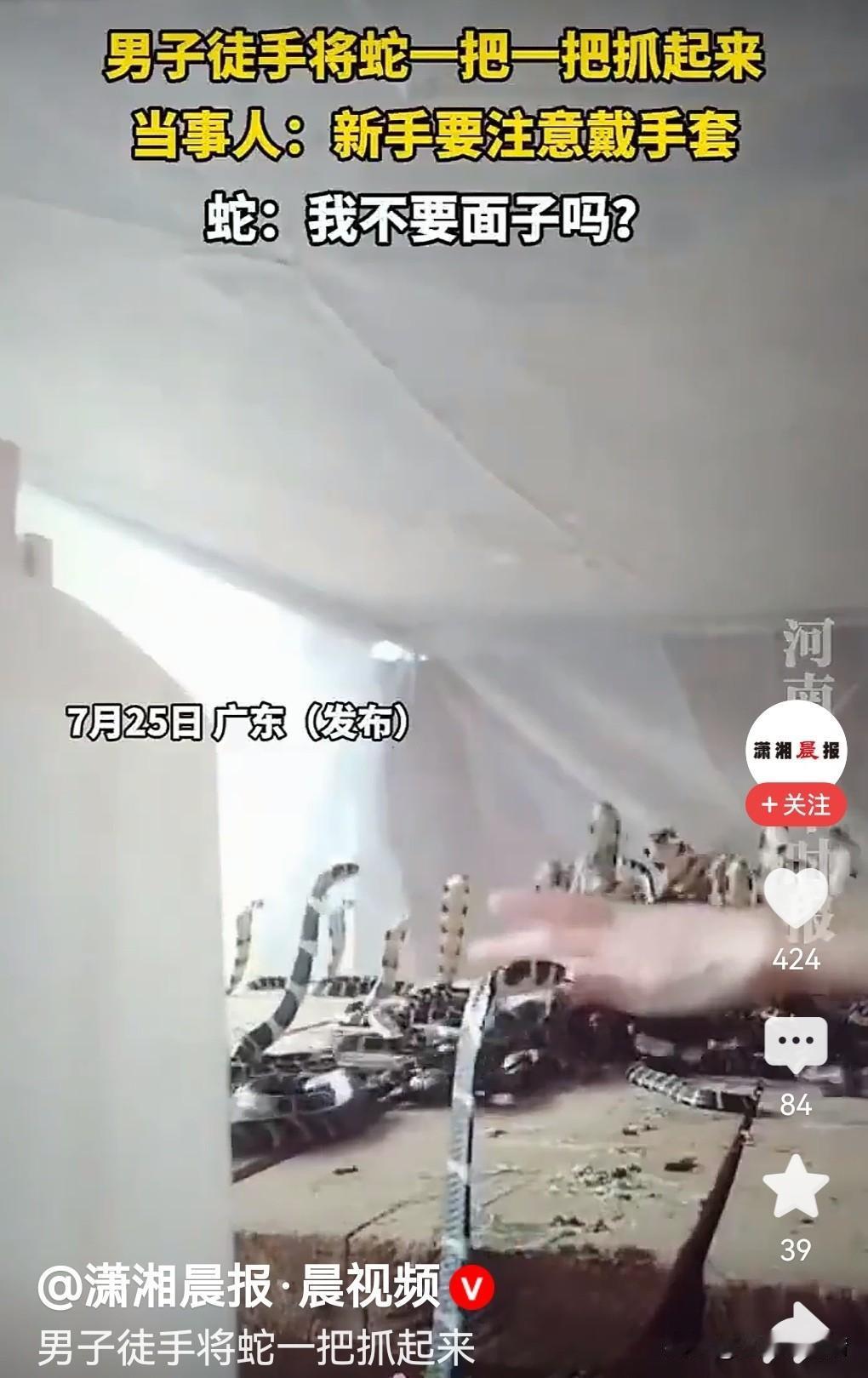 男子徒手将蛇一把抓起来，危险！

刷到那条视频，心跟着揪了一下。屏幕里的汉子虎口