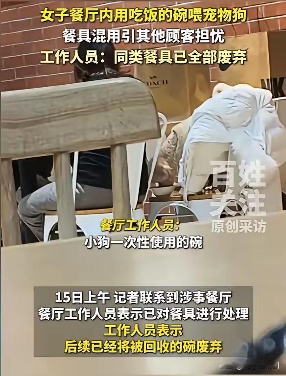 现在好多人去餐馆吃饭，都喜欢带着自己的宠物，猫啊狗啊，对此大家有什么想法吗？
