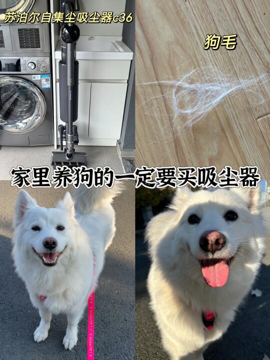 苏泊尔自集尘吸尘器有狗人士强推！