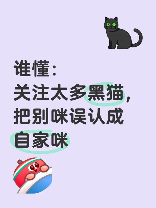 黑猫共用一张脸