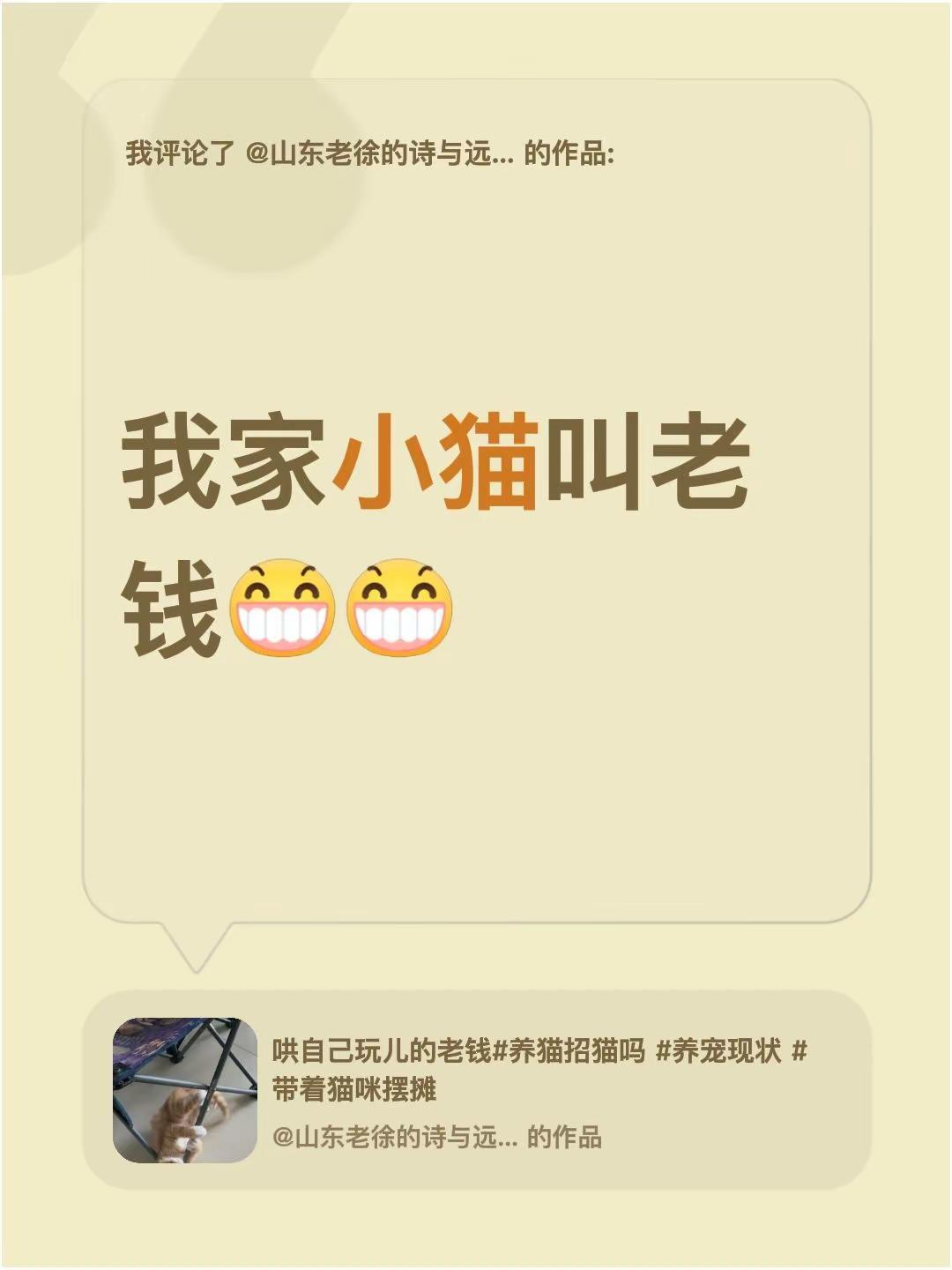 我评论了@山东老徐的诗与远方 的作品：我家小猫叫老钱