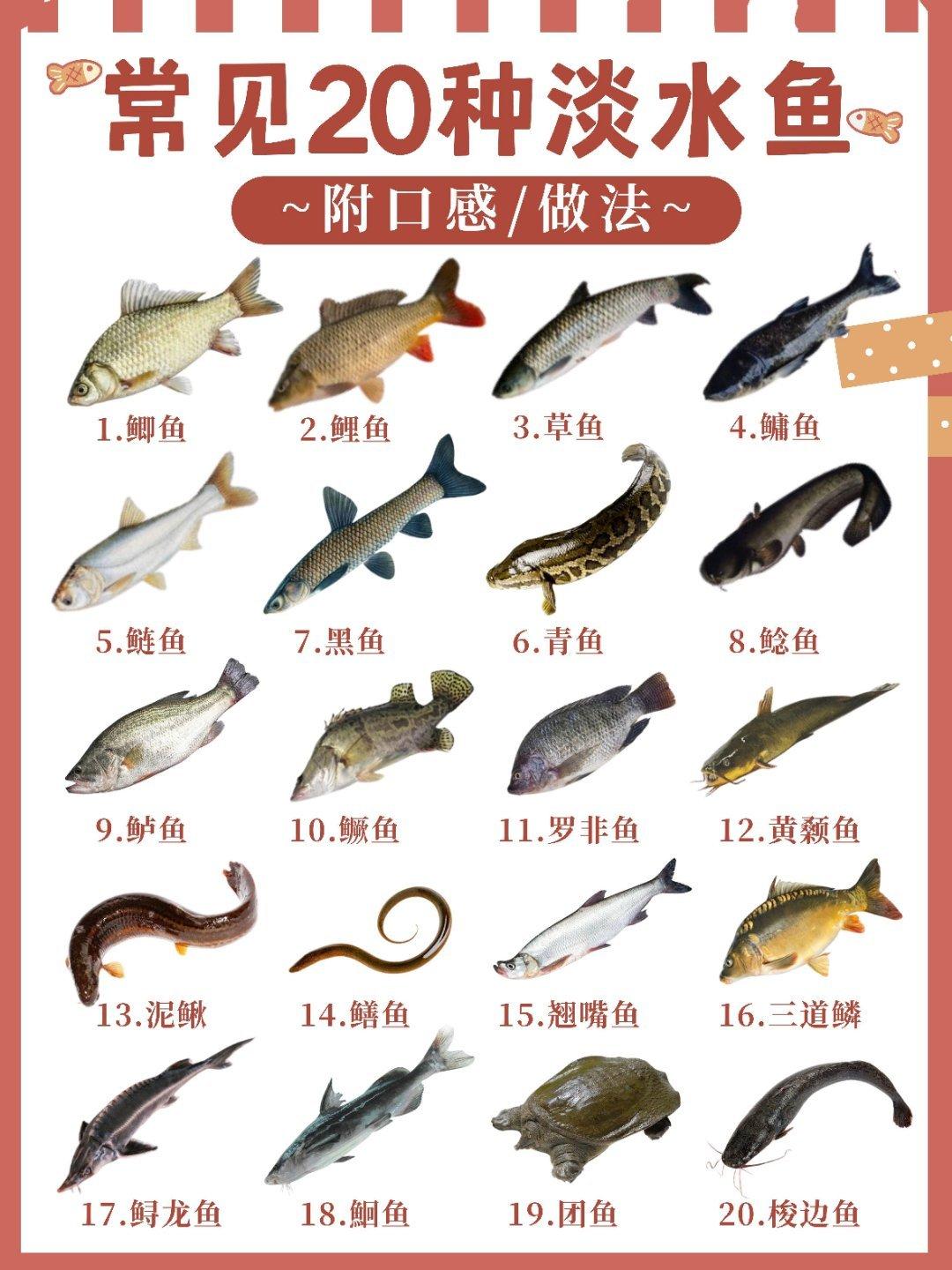 现在的食品安全问题真是防不胜防！有一种“强效窝料”在钓鱼圈很火，背后竟添加了被严
