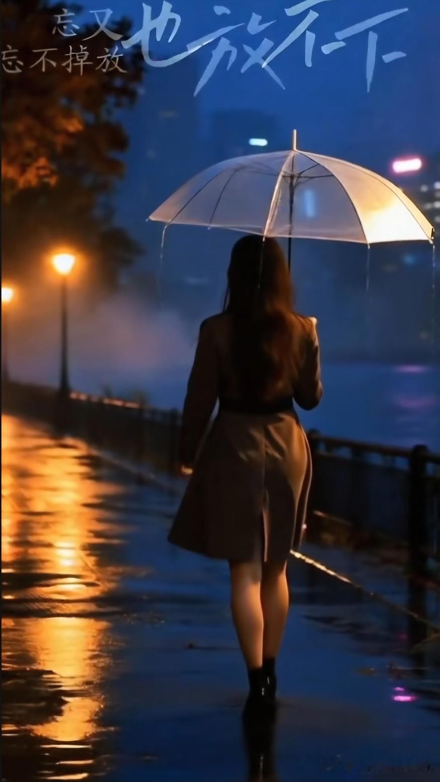雨巷留梦
文/刚柔
 
独观雨夜孤伞图景，静听韩宝仪《梦难留》一曲。眼前江雨灯寒