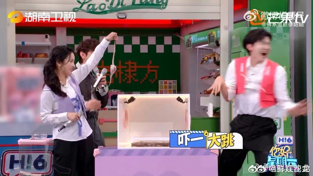 好六又捡到宝了！沈月×陈哲远这段互动我能看一百遍！陈哲远被沈月吓出表情包沈月有些