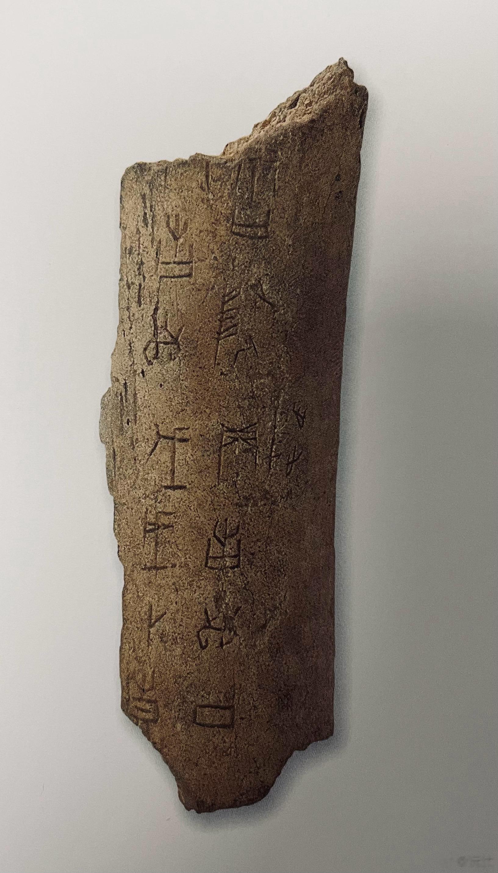 王懿荣收藏的甲骨中有350多片是捐给天津博物馆的，由其孙女王福重女士捐赠。#沅汰
