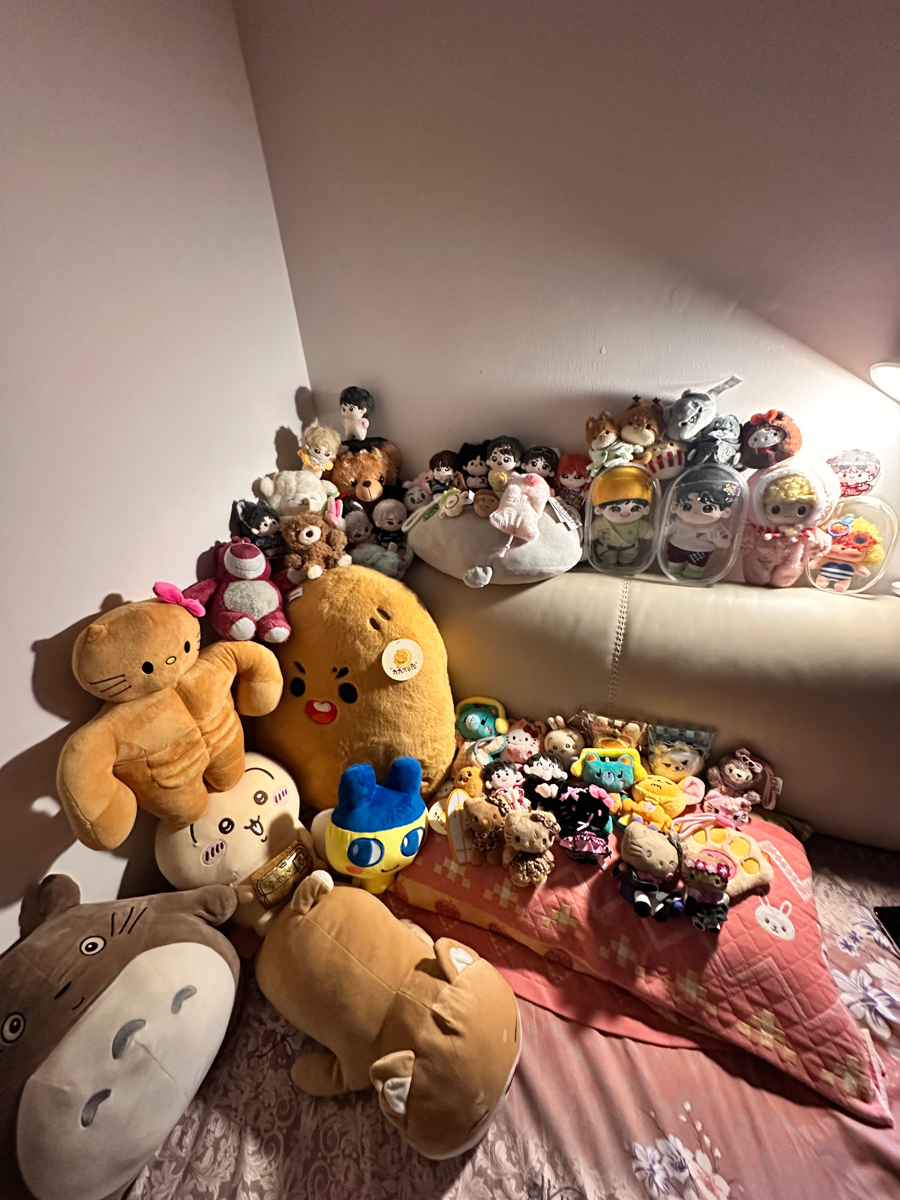 家当展示