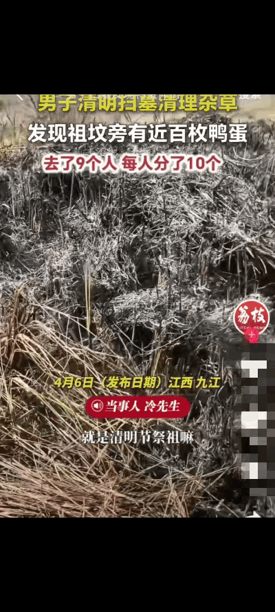 “这祖宗太实在了！”清明这天，江西九江一男子带着家人去扫墓，看见祖坟长满了草，就