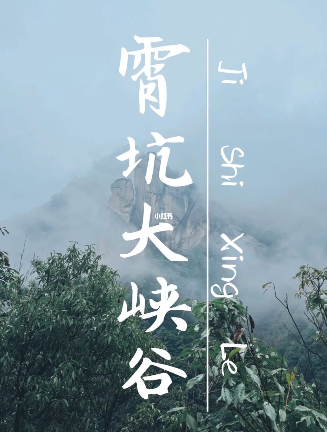 人少景美🌳