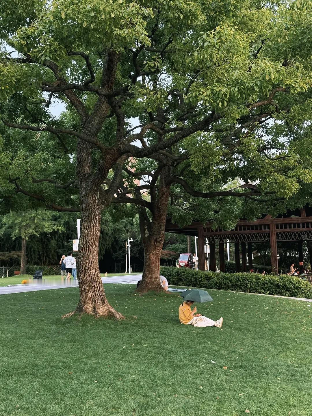 你敢去表达，别人就会知道你有主见
你敢去反驳，别人就会知道你有原则
你敢于翻脸，
