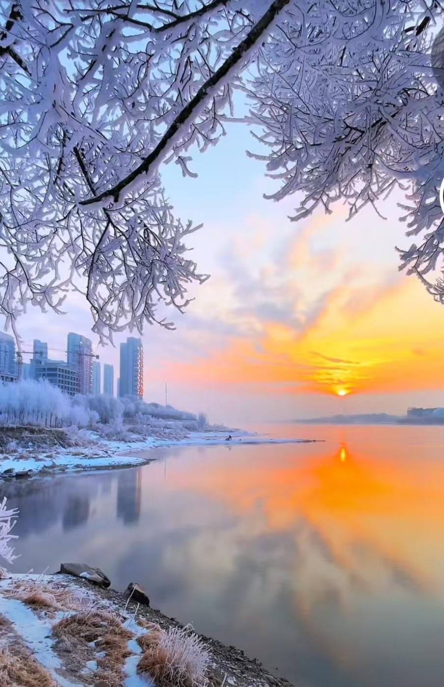 哈尔滨到底有多美，像不真实的童话世界。
像真实的冰封世界。
只要落雪的那一刻，就