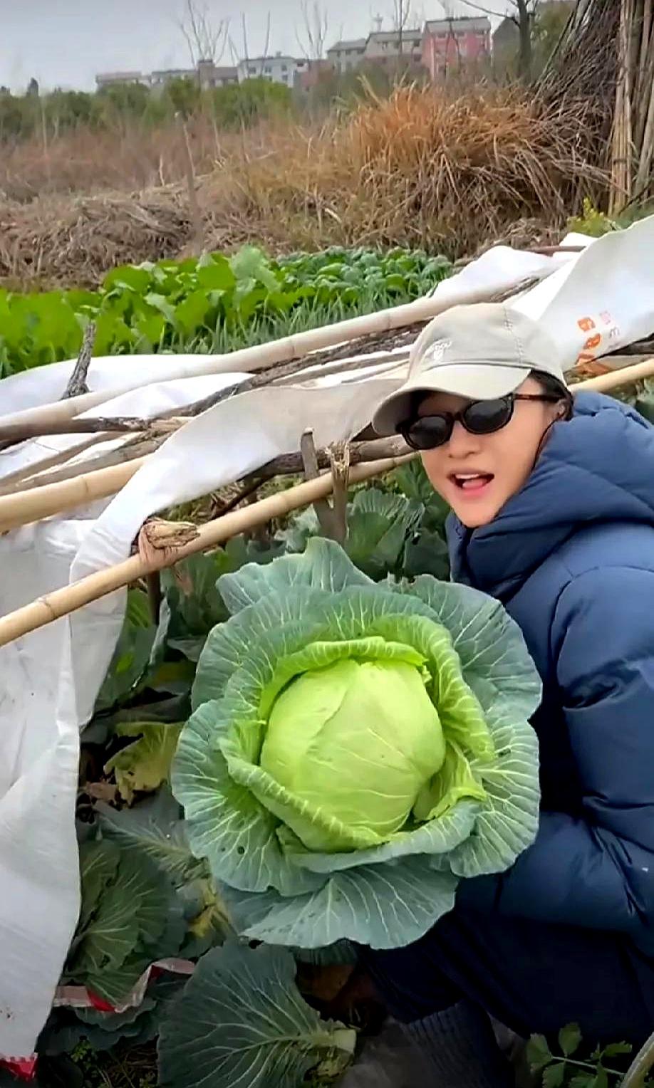 51岁周迅刚走完巴黎香奈儿大秀，转头就蹲回衢州老家的菜地里摘菜。
前几天她去老