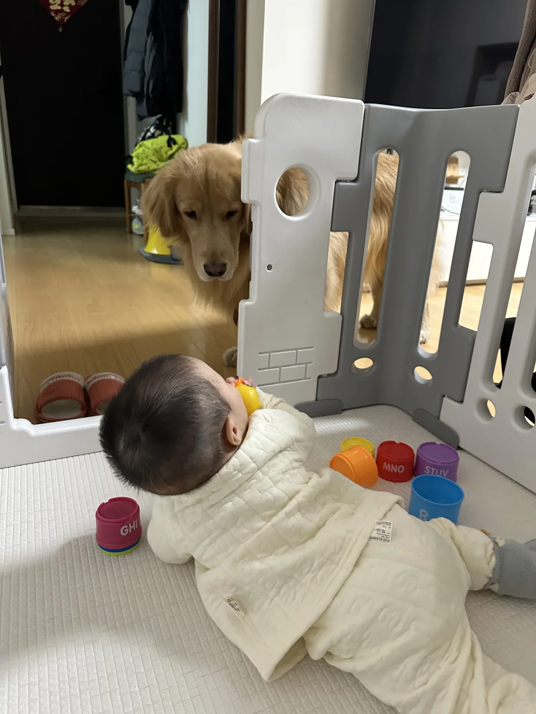 兄弟俩都爱小鸭子