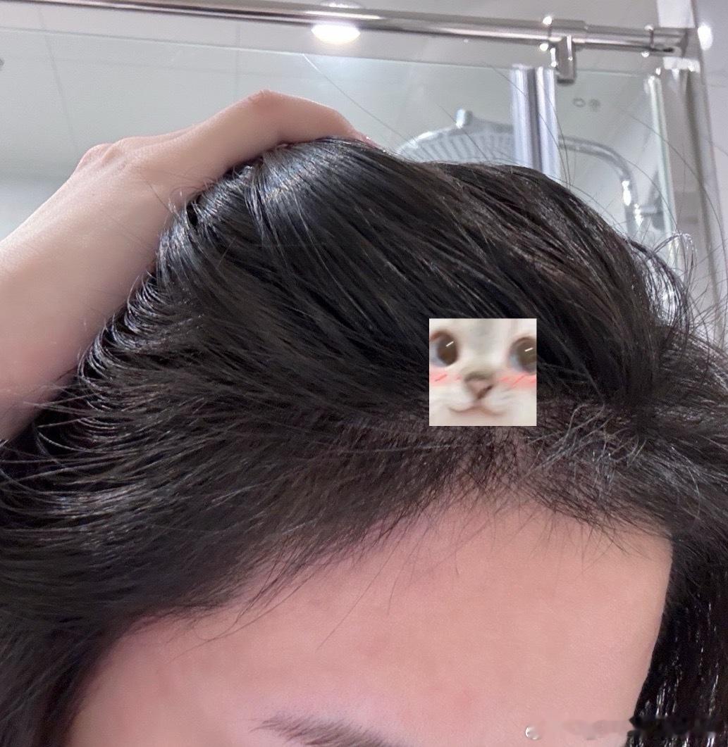 跟万年刘海说拜拜！碧莲盛植发设计的发际线太懂脸型了，露额头出门也更自信～设计比例