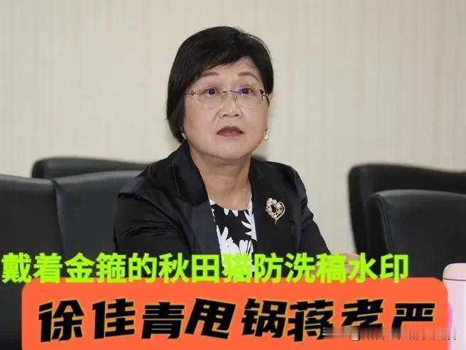 绿高官强词夺理，蒋万安竟躺枪！
考察26天花费上百万，报告仅5页挨猛批，徐佳青竟