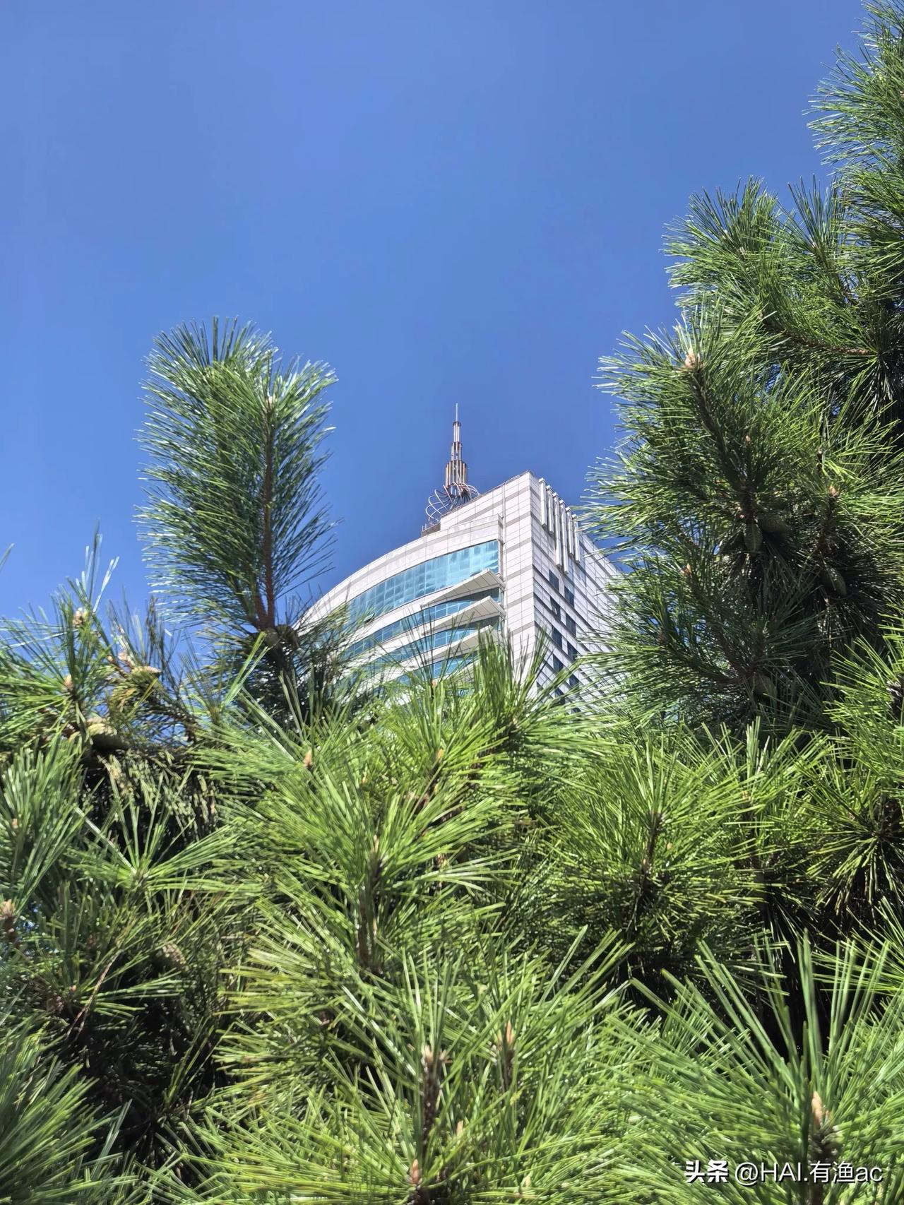 先跑为敬，放量下跌，怎么回事？
今天（9月4日）A股市场呈现典型的高开低走、放量