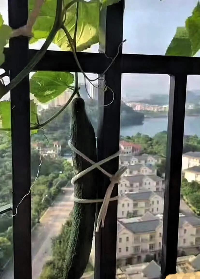 超强台风“桦加沙”正向广东省icon沿海趋近，我看好多都已经停工停学停产了，这次