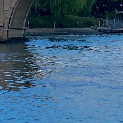 早安。我告诉自己，不必慌张，不必强求。按自己的节奏慢慢走，努力但不焦虑，认真但不