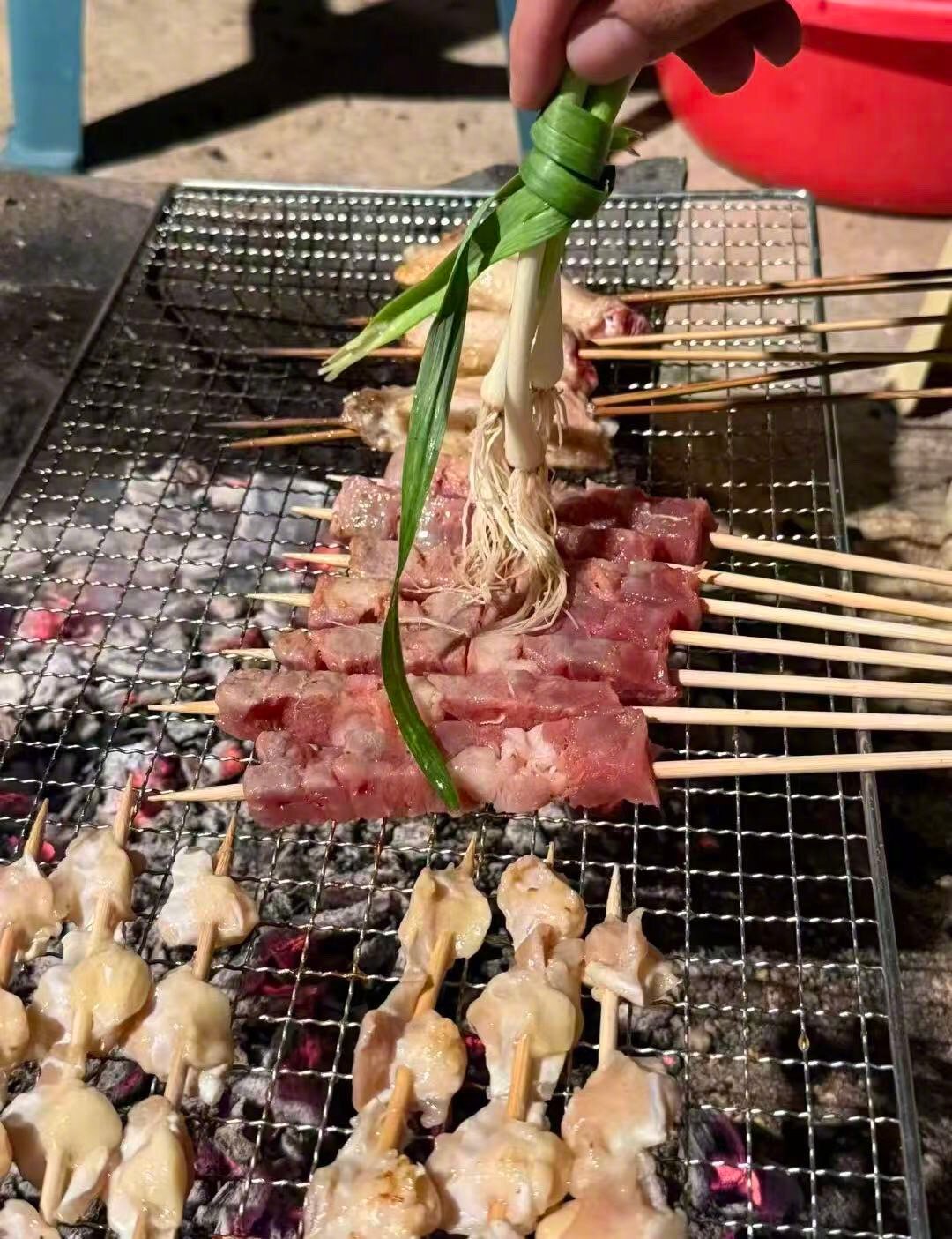 果然生活处处是答案烧烤忘记带刷子后发现了无数种刷子校园共创计划你好春天