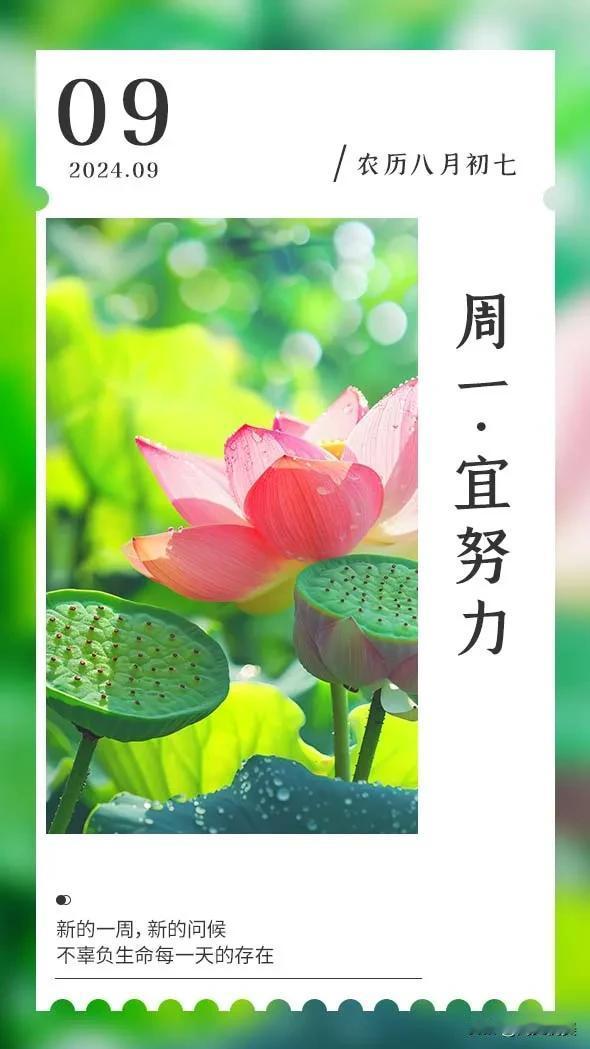 任何的收获不是巧合，
而是每天的努力和坚持得来的。
人生因有梦想而充满动力——